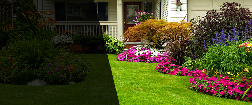 Knob Noster Landscapers