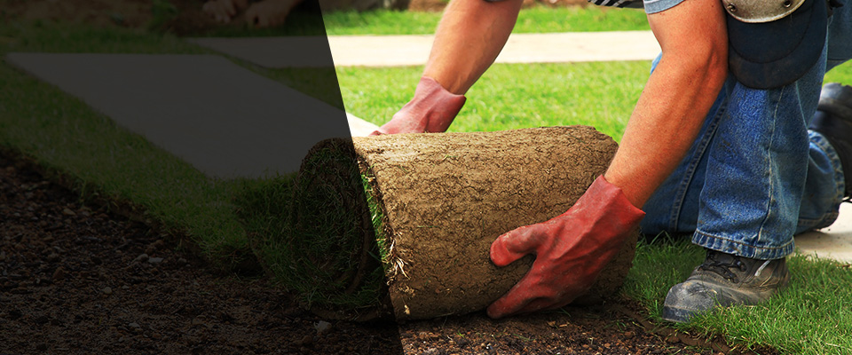 Knob Noster Landscapers
